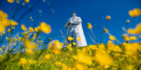 памятник Алеша на фоне неба - ИА Nord-News.Ru
