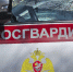 Подозреваемых в групповом грабеже задержали росгвардейцы в Светлограде - Росгвардия