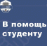В помощь студенту: как получить баллы за волонтерство - РостГМУ