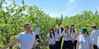 Ученики агротехкласса из Лебедяни изучали процесс цветения в яблоневом саду - Министерство сельского хозяйства