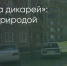 Поделитья во ВКонтакте - Братская Студия Телевидения