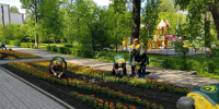 Свыше 16,6 тыс. жителей Королёва отдали свои голоса за благоустройство городских территорий - Администрация г. Королёв