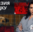 Лицензирование приютов для животных: какое наказание ждёт за отсутствие лицензии - ЛенТВ24
