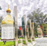 Комфортная городская среда в центре внимания - ProReutov.Ru