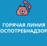 Описание для слабовидящих - Ковдорский район