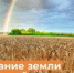 Итоги регионального фестиваля литературно-художественного творчества «Сказание земли Липецкой» - 2026. - Центр развития творчества детей и юношества