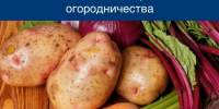Жители Чадана получат бесплатные семена овощей для развития огородничества - ИА Тува-Онлайн