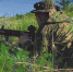 Казачья молодежь Саратовской области освоила навыки тактической медицины и спасательных работ - Известия Саратов