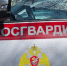 В Светлограде задержали подозреваемых в грабеже - Вечерний Ставрополь