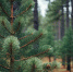 517987 - News102.Ru