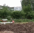 Пешеходные маршруты по запросам жителей — в подмосковном Пушкинском обустраивают новые дорожки - ИА Медиа Ток