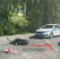 Стали известны подробности жесткого ДТП с двухколесным в Благовещенске - Amur.Life