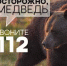 Осторожно медведь! - Город Советская Гавань