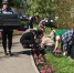 В Иркутске началась посадка цветов на городские клумбы - Weacom.Ru
