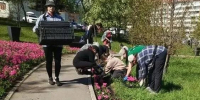 В Иркутске началась посадка цветов на городские клумбы - Weacom.Ru