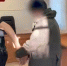 Верховный суд Якутии поставил точку в деле о рабском труде на ферме: Отец и сын избивали и заковывали в наручники своих "работников" - ИА SakhaTime