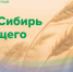 Чулымский район примет областной Агрофорум для подготовки молодых кадров АПК - Министерство образования