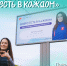Стань лицом добровольчества Ленобласти! - Комитет по молодежной политике