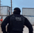 Полицейские проверили больше 500 иностранцев в Ломоносовском районе Ленобласти - ГАZЕТА.СПб