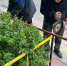 Управляющие компании Махачкалы оштрафовали за плохую уборку домов - Дагестанская правда