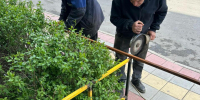 Управляющие компании Махачкалы оштрафовали за плохую уборку домов - Дагестанская правда