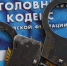 PNG Файл - УМВД по г. Санкт-петербургу и Ленинградской области