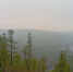 Якутия входит в лето без пожаров - Yakutia-Daily.Ru