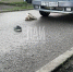 Четырехлетнюю девочку сбил автомобиль в Острове - Псковская правда
