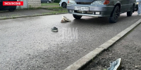 Четырехлетнюю девочку сбил автомобиль в Острове - Псковская правда