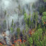 Авиамониторинг пожаров в лесу происходит несколько раз в день в Хабаровском крае - Телеканал Хабаровск