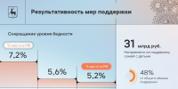 По итогам 2025 года уровень бедности в Нижегородской области сократился до 5,2% - Правительство Нижегородской области