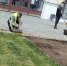 трава красная пл - Рыбинские Известия