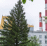 Назаровская ГРЭС - Газета Красноярский рабочий