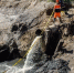 Более 1,5 тыс. жителей ставропольского села получили качественное водоснабжение - ИА Победа 26