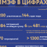 SPIEF25_infographics_ru - Газета Щербиновский курьер