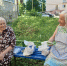 img - ЛДПР