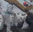 Более 32,7 тыс. кубометров загрязненного грунта и водомазутной смеси собрали в Туапсе - Кубанские Новости