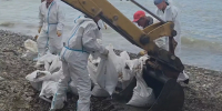Более 32,7 тыс. кубометров загрязненного грунта и водомазутной смеси собрали в Туапсе - Кубанские Новости