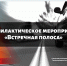 2 дня профилактики: в Тверской области объявлены рейды «Встречная полоса» - Газета Вся Тверь