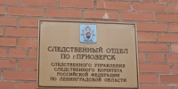 В Приозерском районе женщина предстанет перед судом по обвинению в применении насилия в отношении представителя власти - Следственный комитет