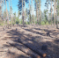 image - GazetaRB.Ru