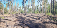 image - GazetaRB.Ru