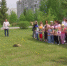 Видео - ТВН