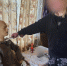 В Степновском округе женщина обвиняется в покушении на убийство своей родственницы - СУ СК РФ