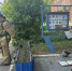 Огнеборцы эвакуировали условного пострадавшего из здания полиции в Дубенском - ИА Тульская пресса.Ru