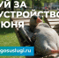Голосование за комфортную городскую среду продолжается - МФЦ