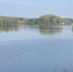 Стало известно, где водится краснокнижная рыба в Пензенской области - Progorod58.Ru