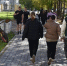 В Кирове школьница отдала мошенникам сейф родителей с 6 миллионами - Город Киров