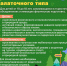 Летние каникулы 2026: яркие впечатления для ваших детей! - Министерство образования и науки