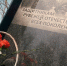 Воркута отметила День пограничника. - Муниципальный округ Воркута
